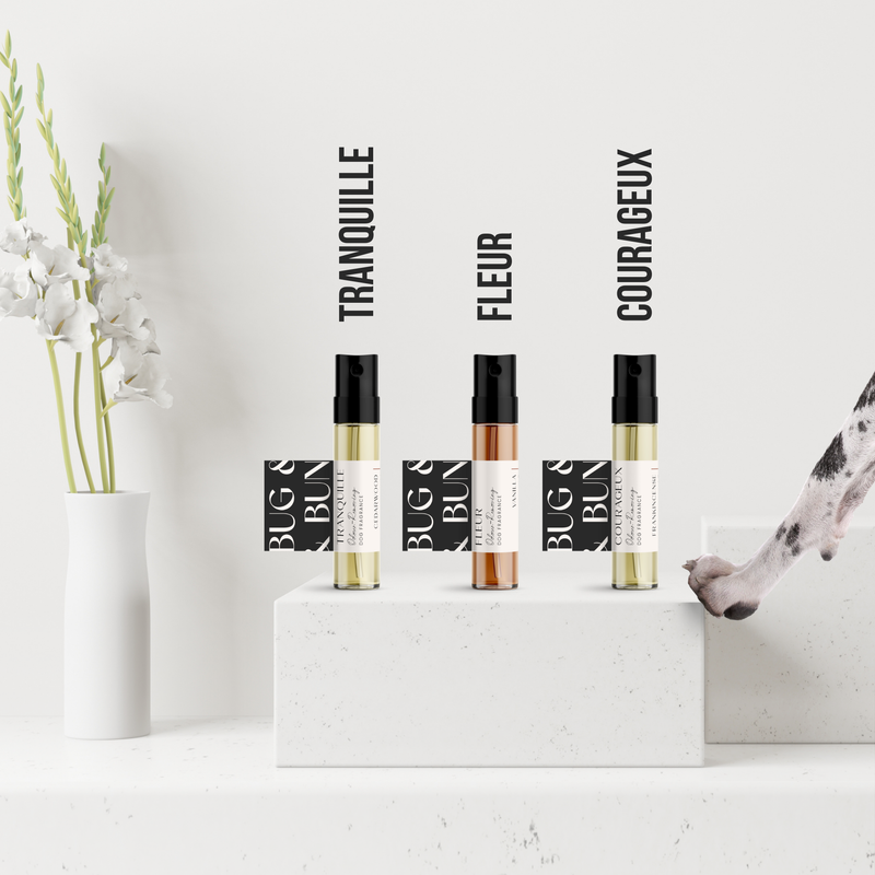 Dog Fragrance Discovery Pack — Aromatherapy Collection