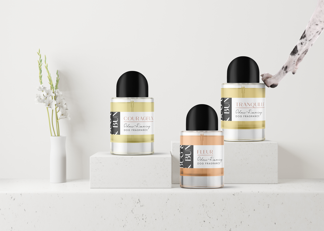 OUR 'EAU DE NATURAL' COLLECTION: AROMATHERAPY-INSPIRED