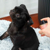 Dog Fragrance — Fleur