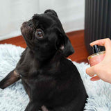 Dog Fragrance — Tranquille