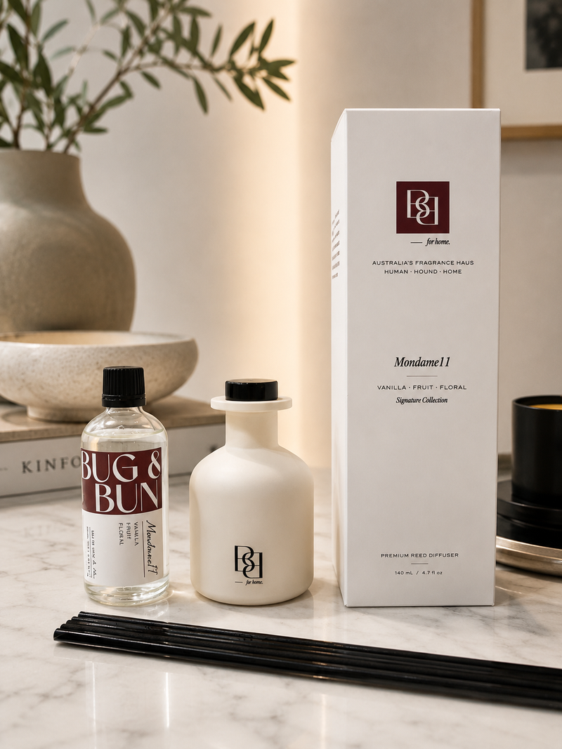 Reed Diffuser — Mondame11 in situ