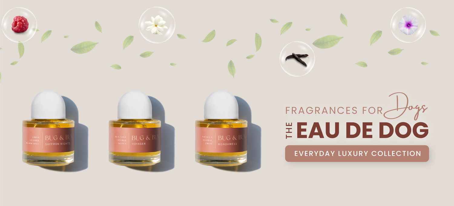 Eau de Dog - Dog Fragrance Collection