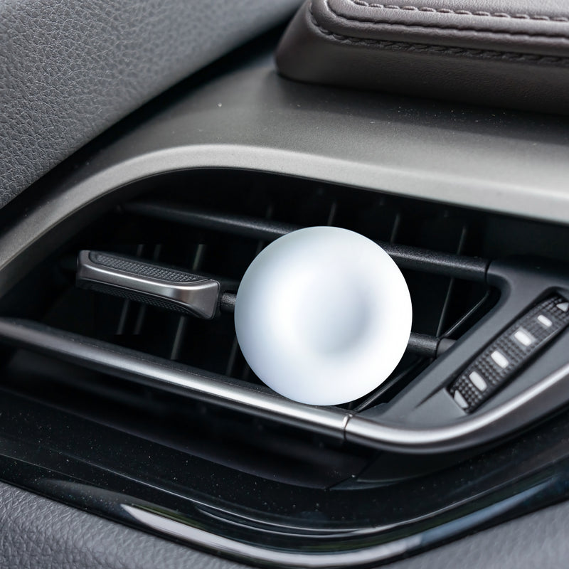 Ceramic Car Diffuser in situ