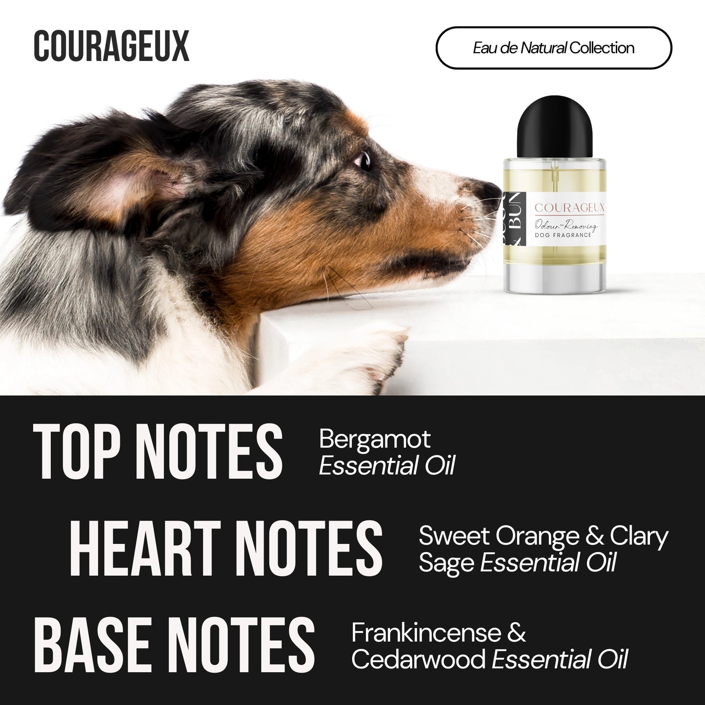 COURAGEUX - DOG FRAGRANCE