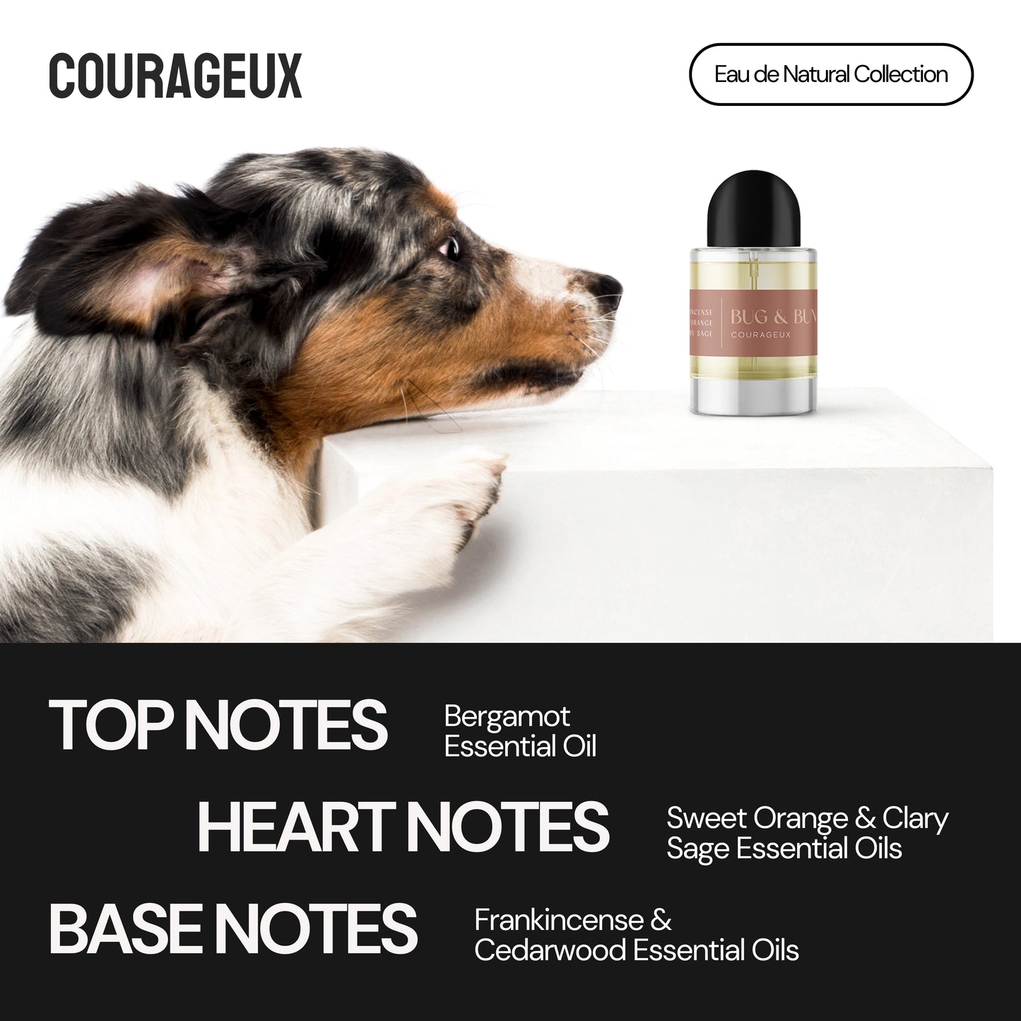 COURAGEUX - DOG FRAGRANCE