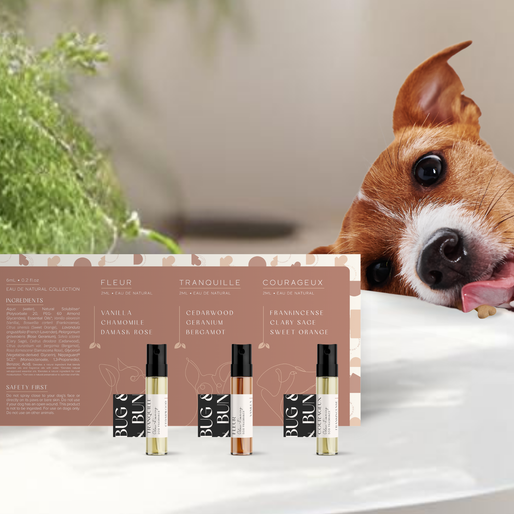 Dog Fragrance Discovery Pack Eau De Natural – Bug Bun