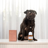 Dog Fragrance — Mondame11
