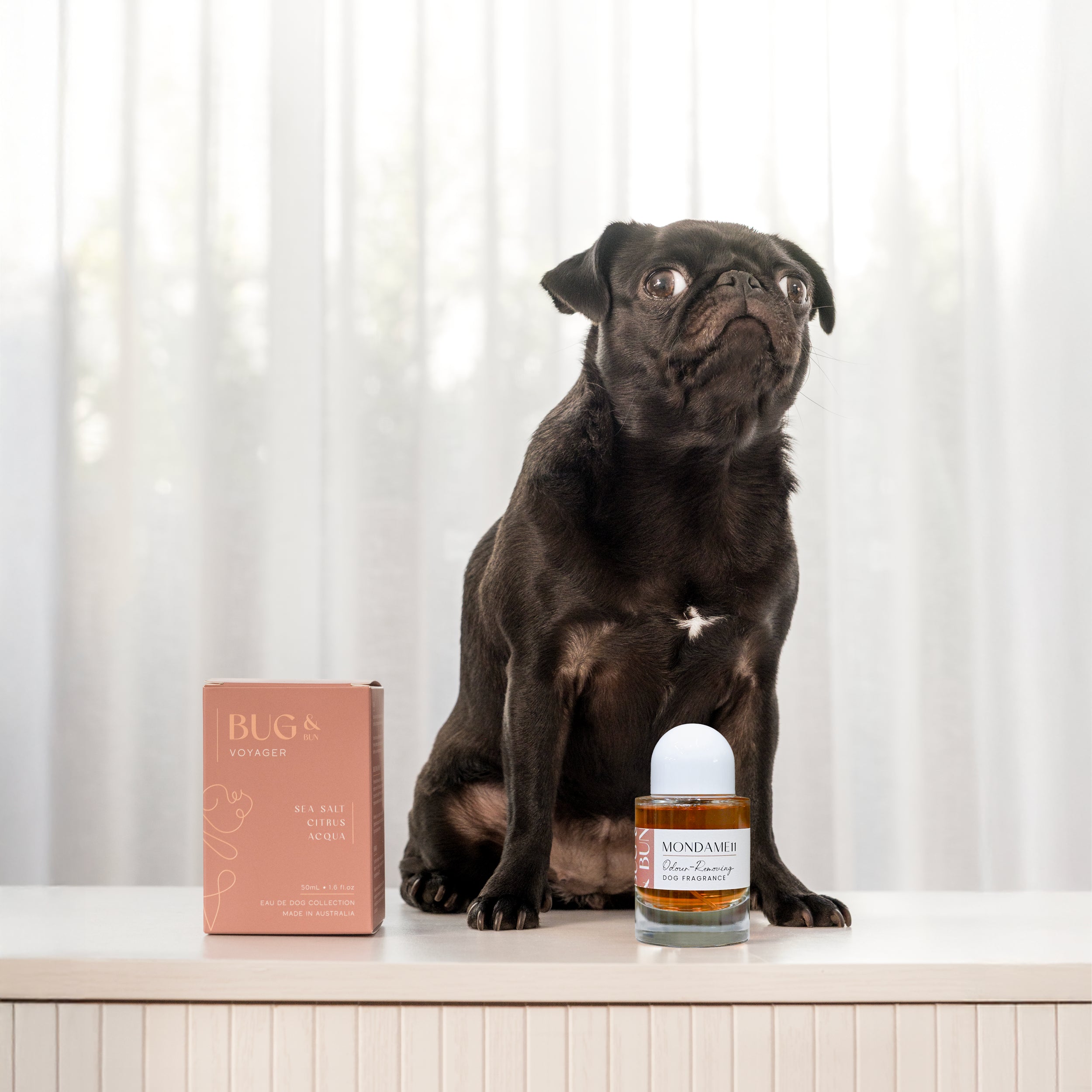 Dog Fragrance — Mondame11