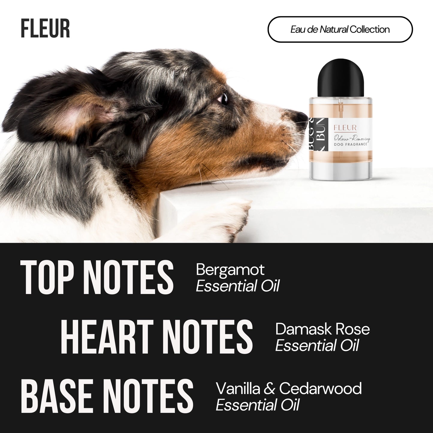 FLEUR  - DOG FRAGRANCE