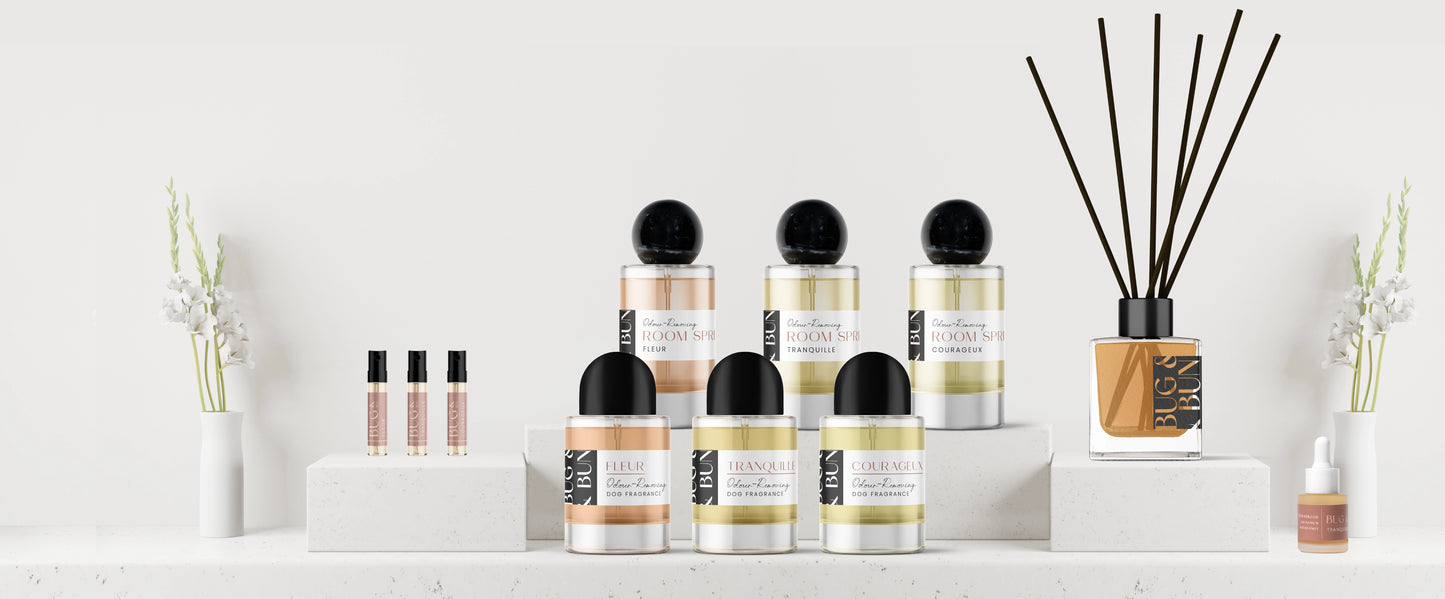 SCENT STARTER KIT