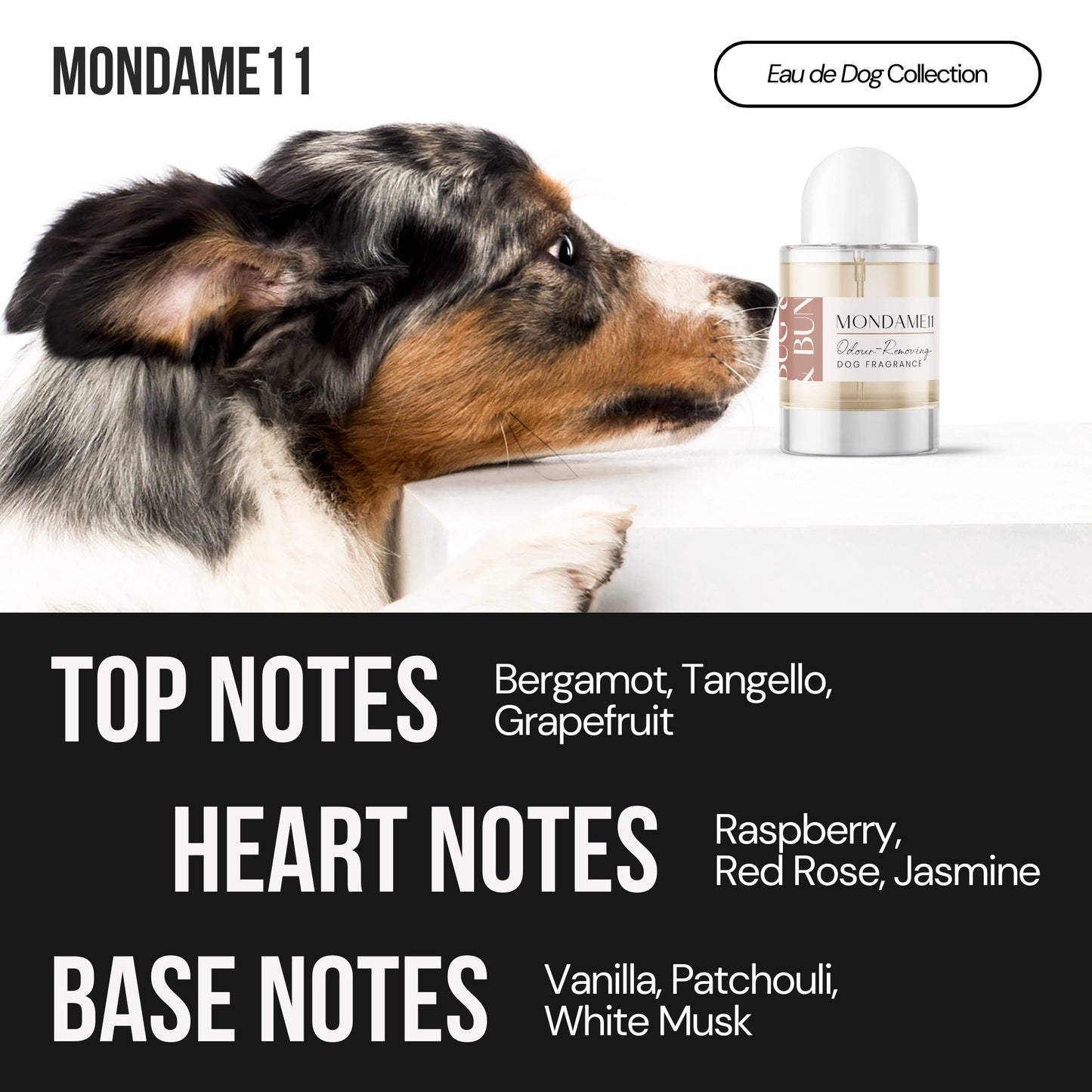 MONDAME11 - DOG FRAGRANCE