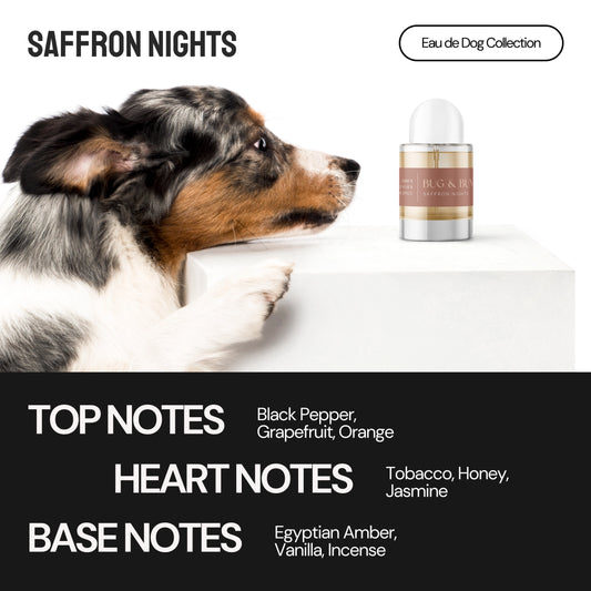 SAFFRON NIGHTS - DOG FRAGRANCE