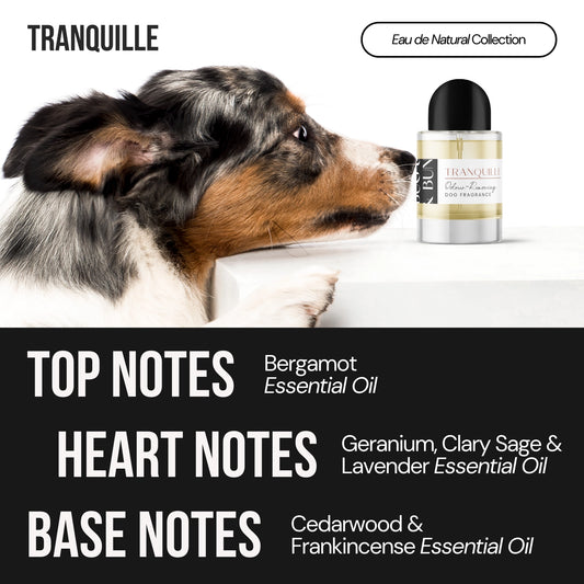 TRANQUILLE - DOG FRAGRANCE