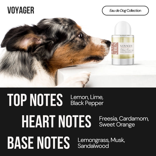 VOYAGER - DOG FRAGRANCE