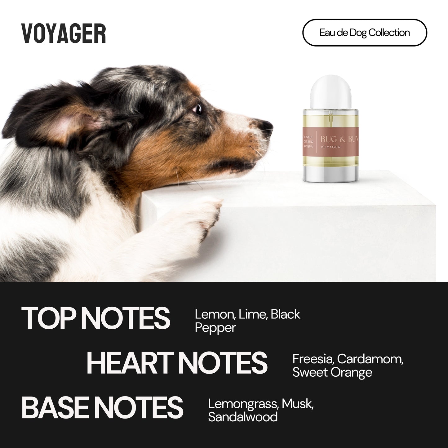 VOYAGER - DOG FRAGRANCE