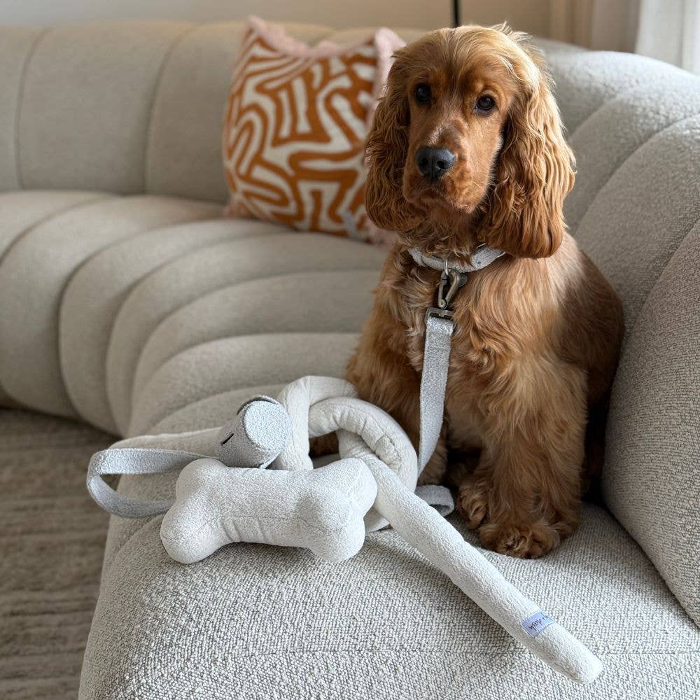 Boucle Dog Toys
